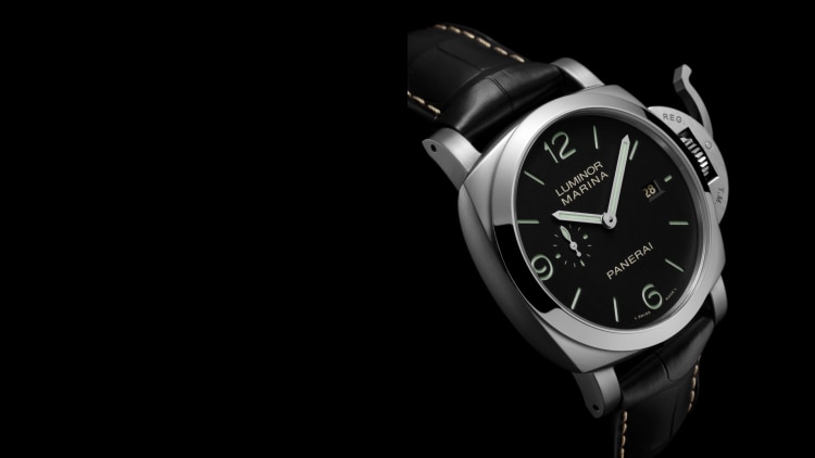 Panerai Watch Collection Luminor