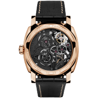 PANERAI LO SCIENZIATO  Back view