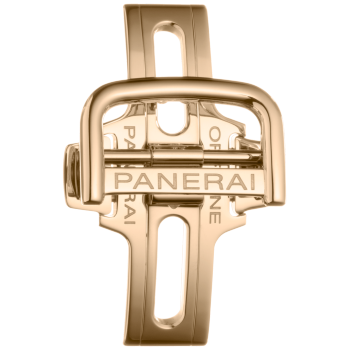 PNPAV00725 - 表带Goldtech™BDR