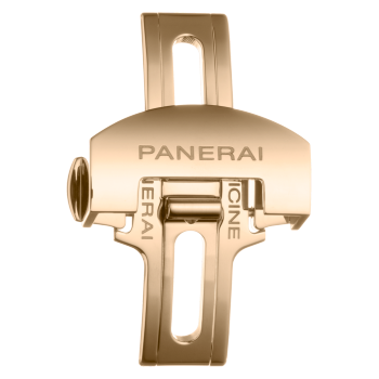 PNPAV00726 - 表带Goldtech™BDR