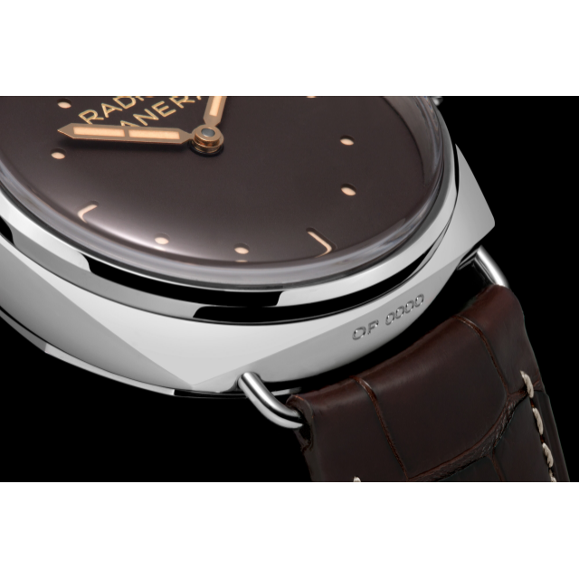 PANERAI Radiomir 3 Days Platino - 47mm  Detail 3