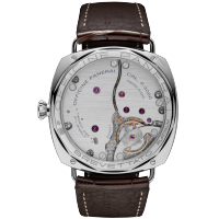 PANERAI Radiomir 3 Days Platino - 47mm