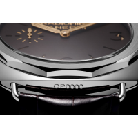PANERAI Radiomir Platino - 47mm PAM00521 Detail 3