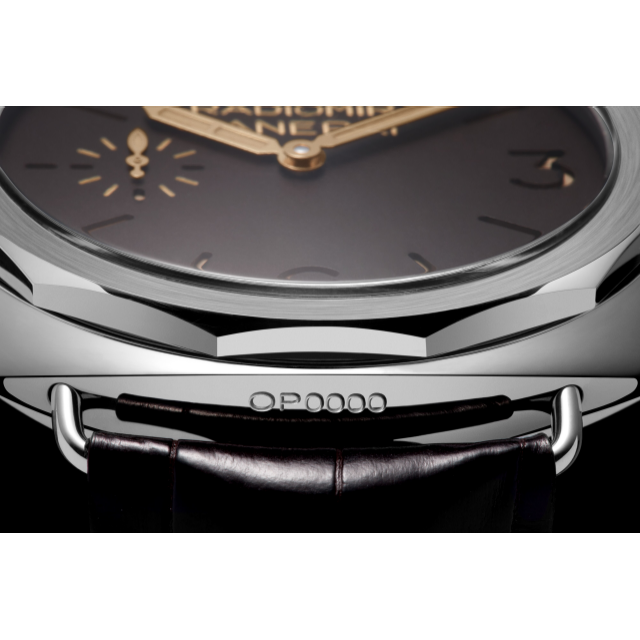 PANERAI Radiomir Platino - 47mm PAM00521 Detail 3