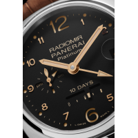 PANERAI Radiomir镭得米尔 10 Days GMT Automatic Platino腕表 - 45毫米 PAM00495