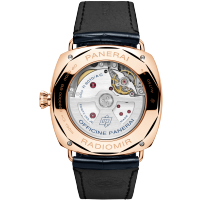 PANERAI  Radiomir镭得米尔Goldtech™年历腕表 
 PAM01363 Back view