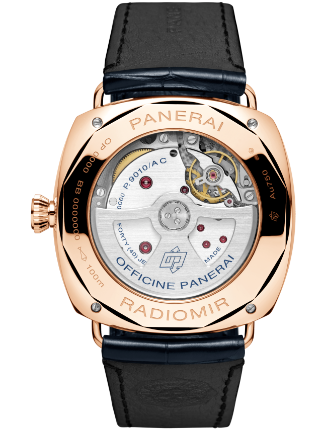 PANERAI Radiomir Annual Calendar PAM01363 Detail 