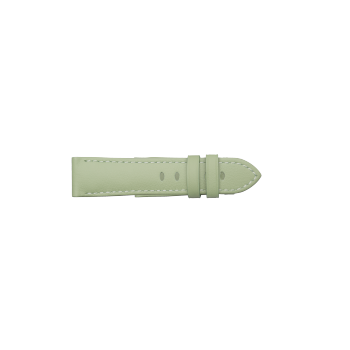 PNMXE0908R - 表带小牛皮薄荷